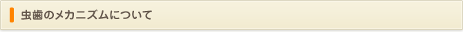 虫歯のメカニズムについて