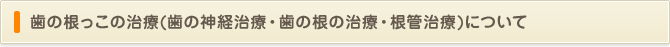 歯の根っこの治療(歯の神経治療・歯の根の治療・根管治療)について