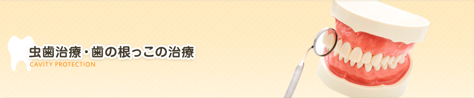 虫歯治療・歯の根っこの治療